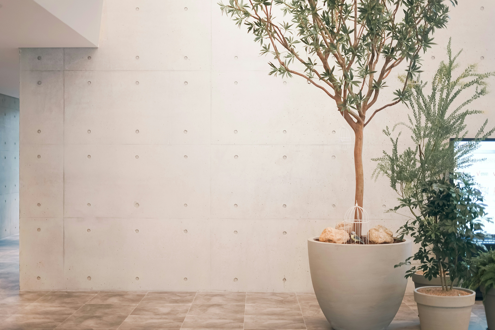 K&P About Blank Wall With Plants